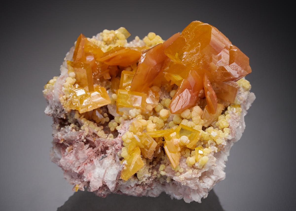 CC21703 specimen image