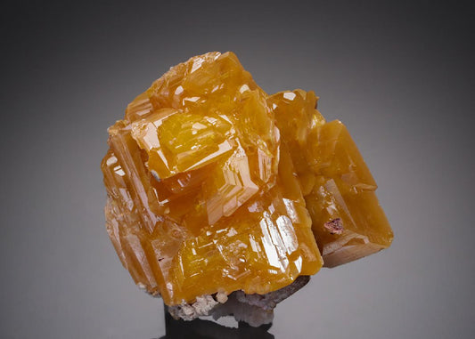 CC21723 specimen image