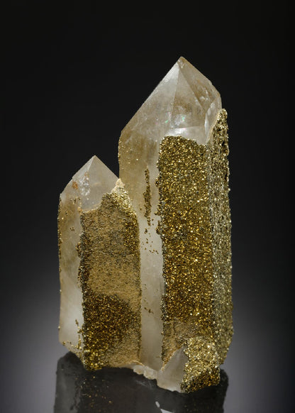 CC2173 specimen image