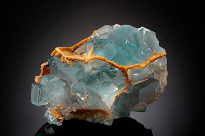 CC2175 specimen image