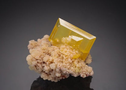 CC21754 specimen image
