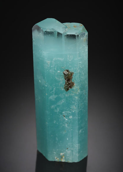 CC21797 specimen image