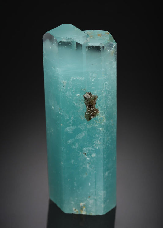 CC21797 specimen image