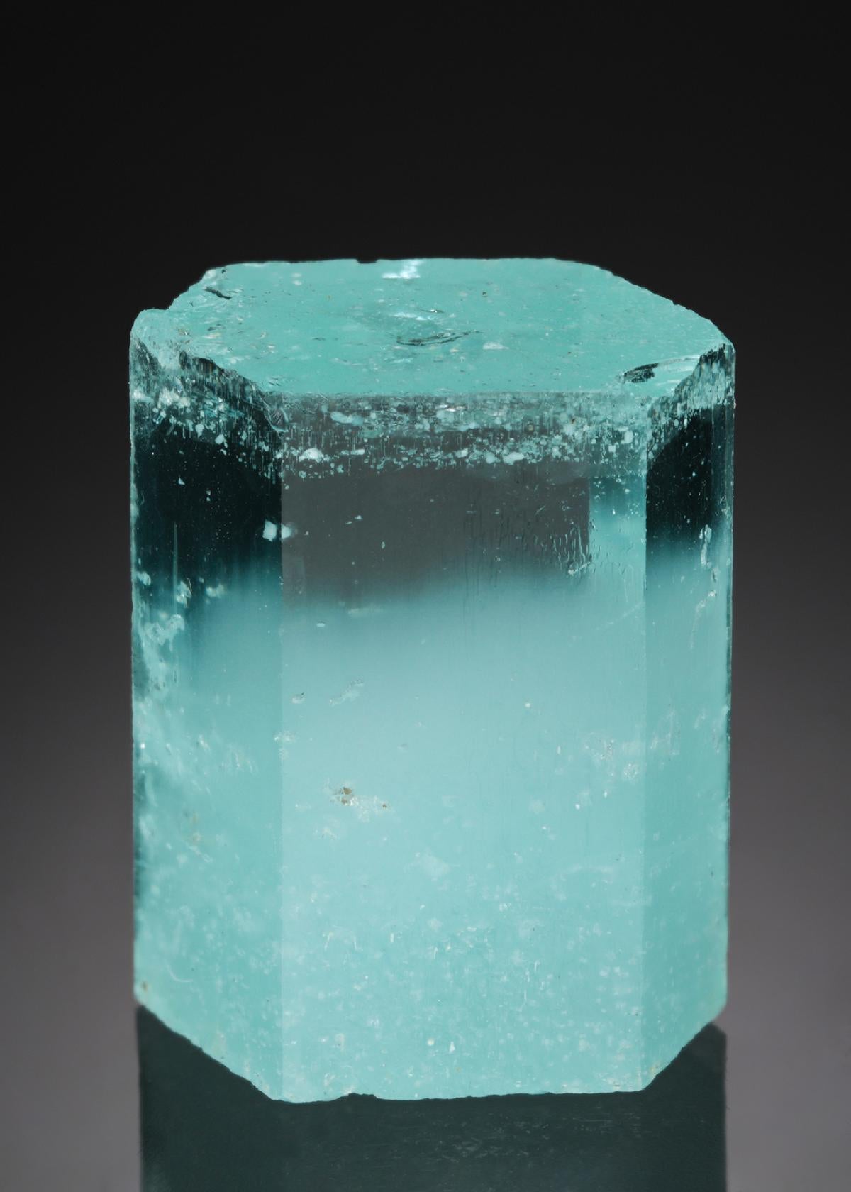CC21799 specimen image