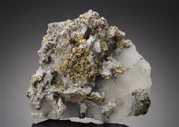 CC21805 specimen image