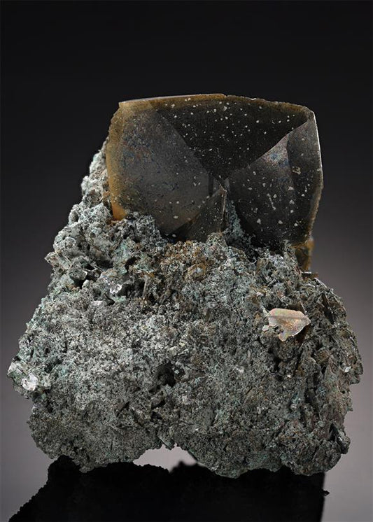 CC21806 specimen image