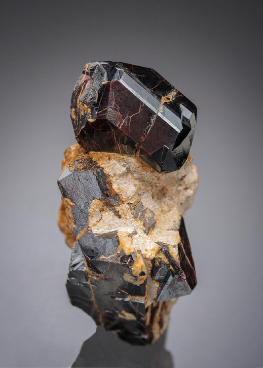 CC21835 specimen image