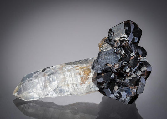 CC21849 specimen image