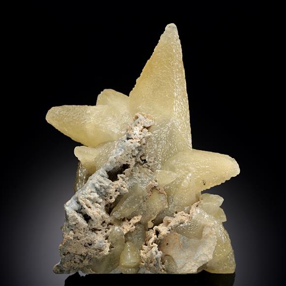 CC2185 specimen image