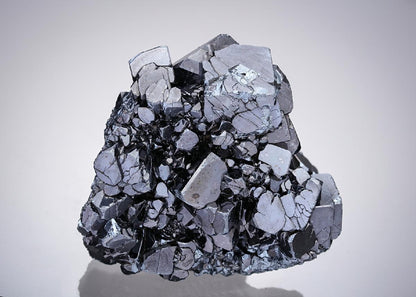 CC21850 specimen image