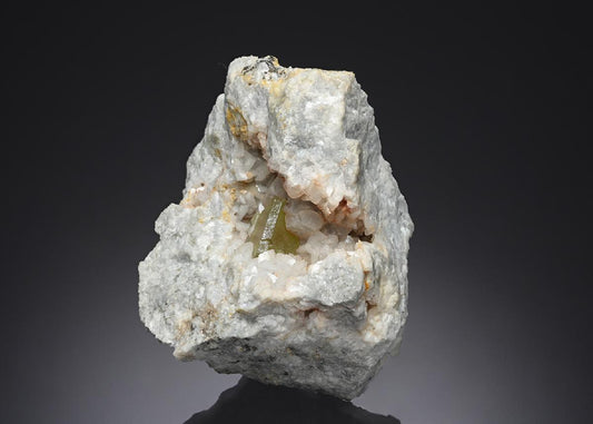 CC21852 specimen image