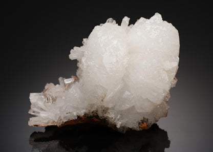 CC21853 specimen image