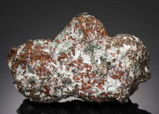 CC21856 specimen image