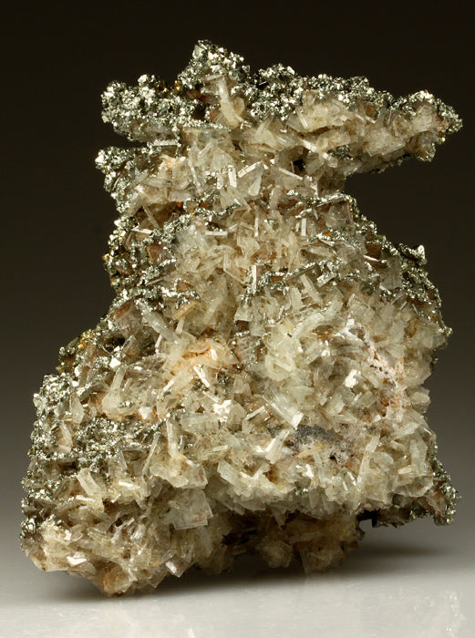 CC2186 specimen image