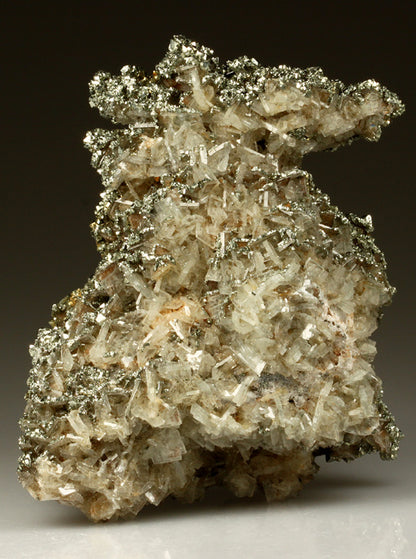 CC2186 specimen image