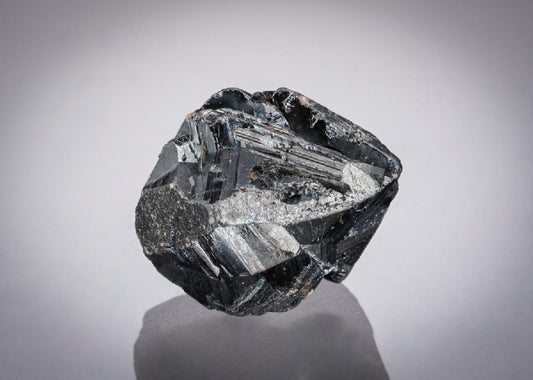 CC21860 specimen image