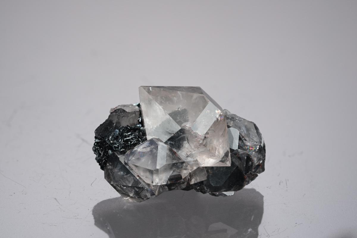 CC21861 specimen image
