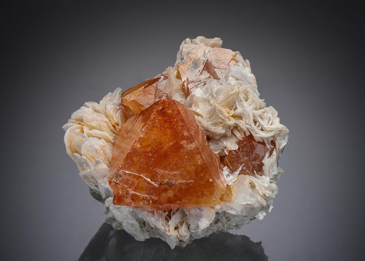 CC21870 specimen image