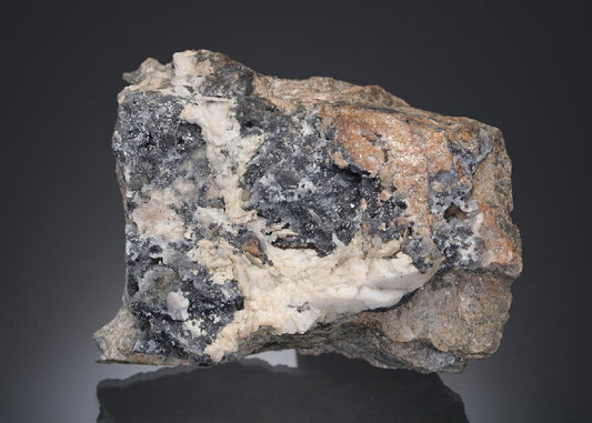 CC21886 specimen image