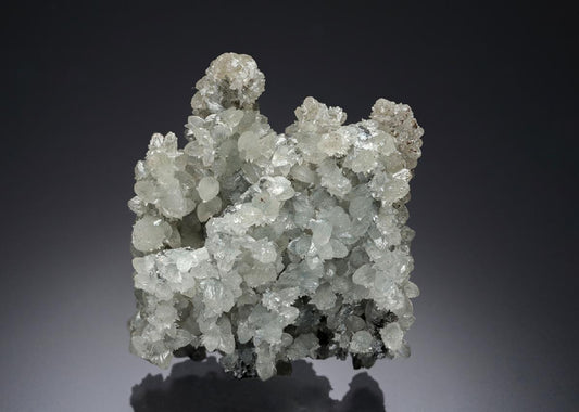 CC21889 specimen image