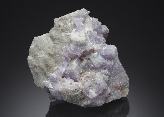 CC21890 specimen image