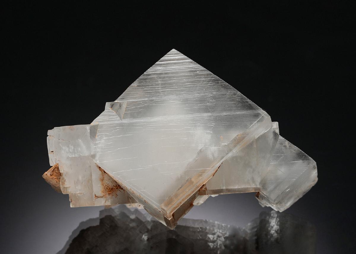 CC21897 specimen image