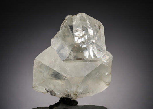 CC21900 specimen image