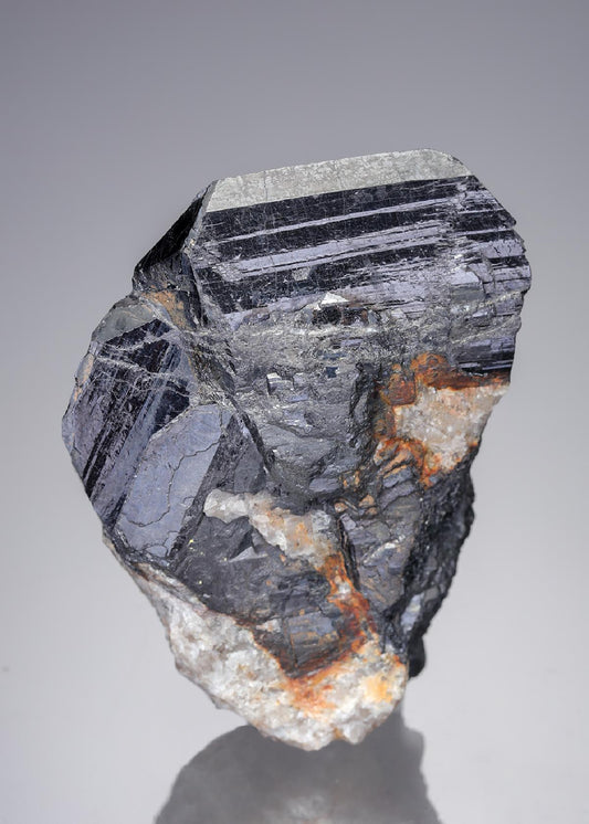 CC21902 specimen image