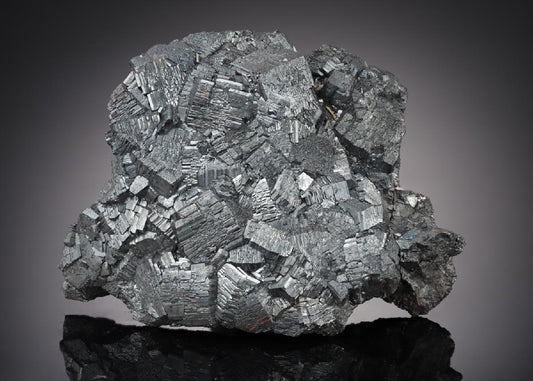 CC21904 specimen image