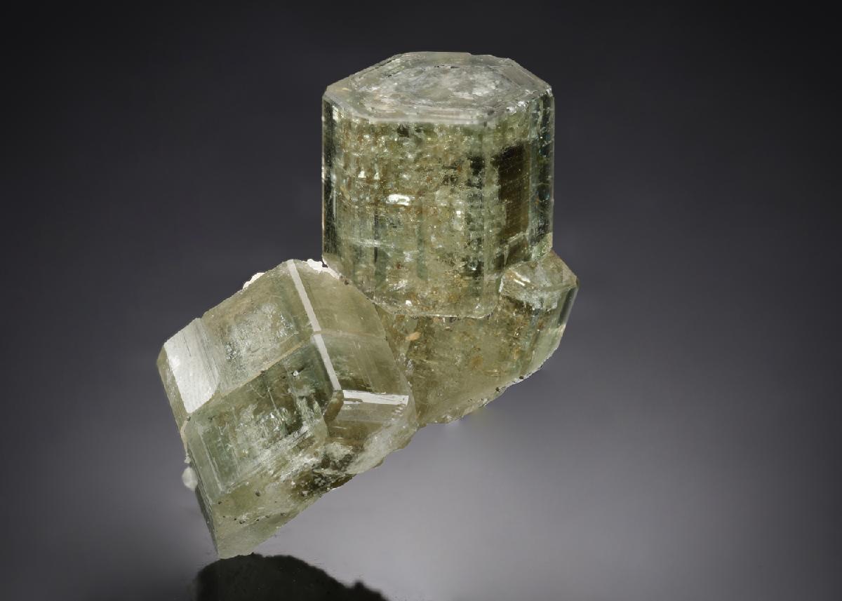 CC21907 specimen image