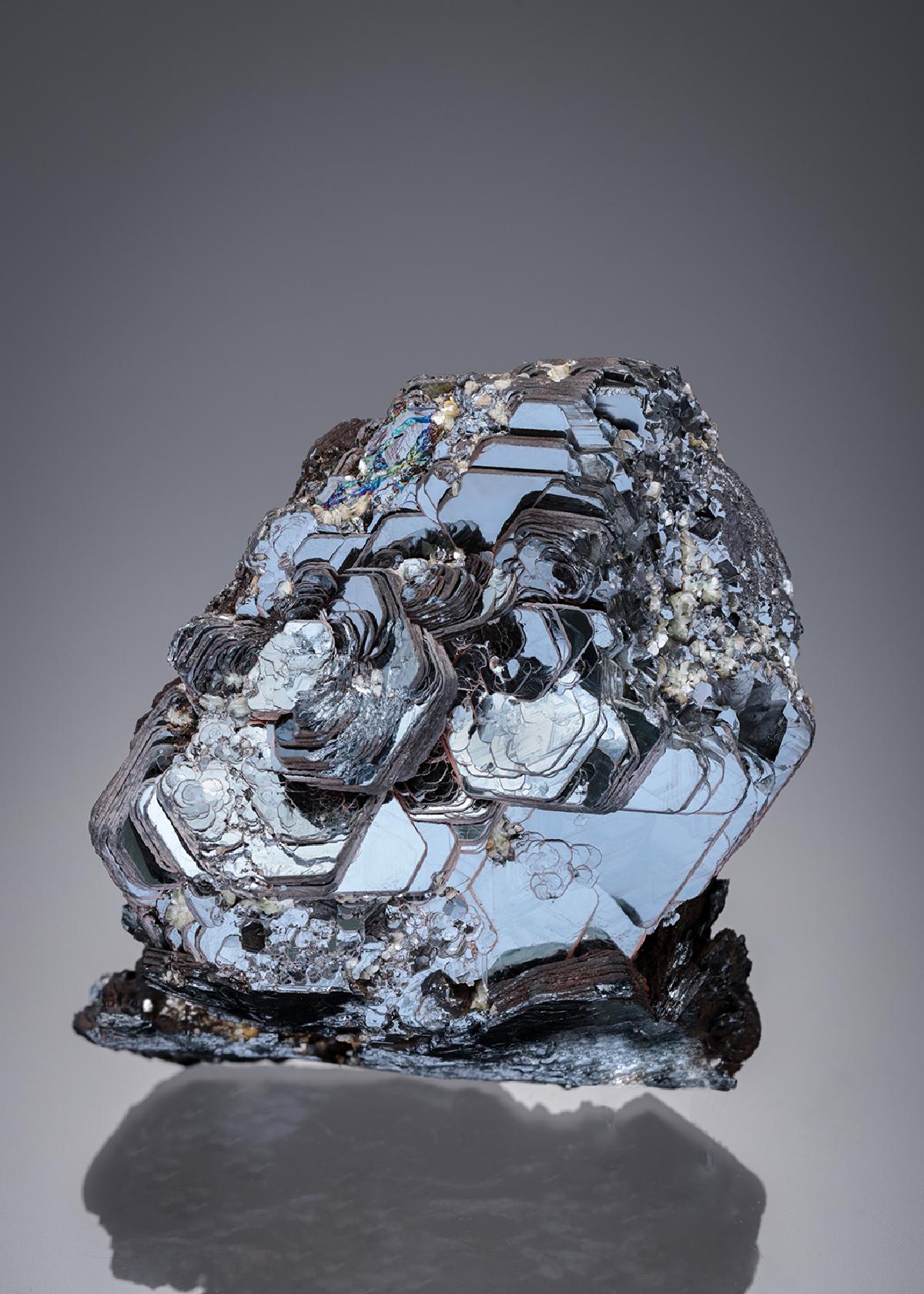 CC21921 specimen image