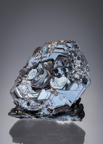 CC21921 specimen image