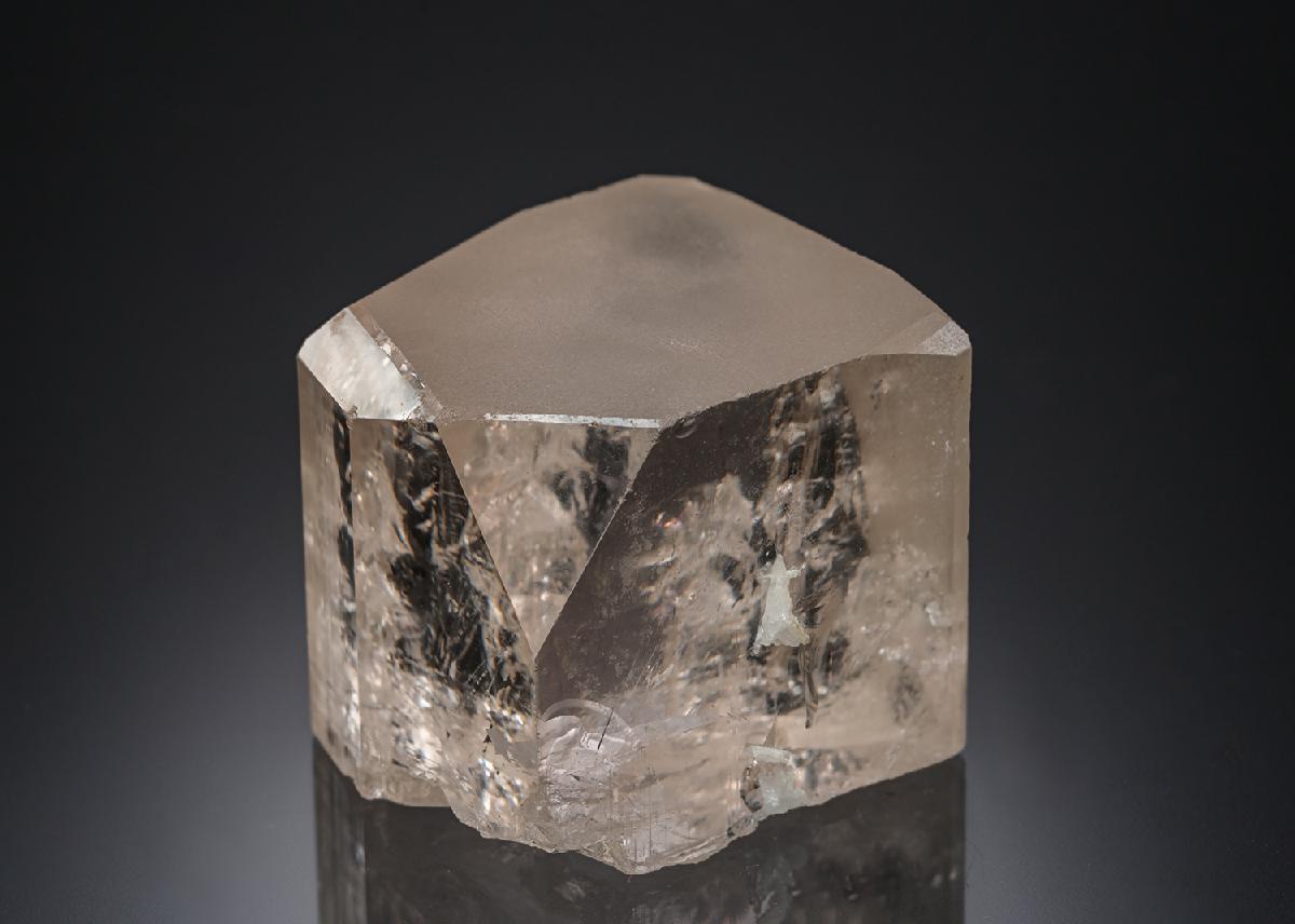 CC21924 specimen image
