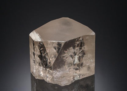 CC21924 specimen image