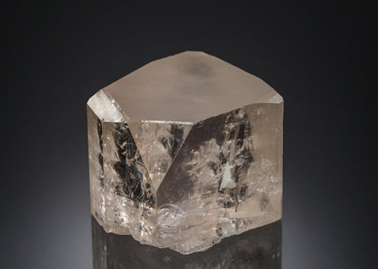 CC21924 specimen image