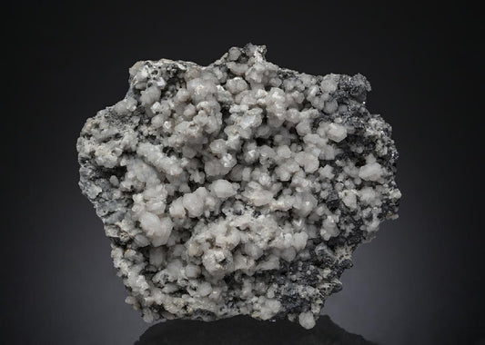CC21943 specimen image