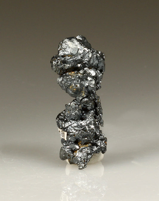 CC2198 specimen image