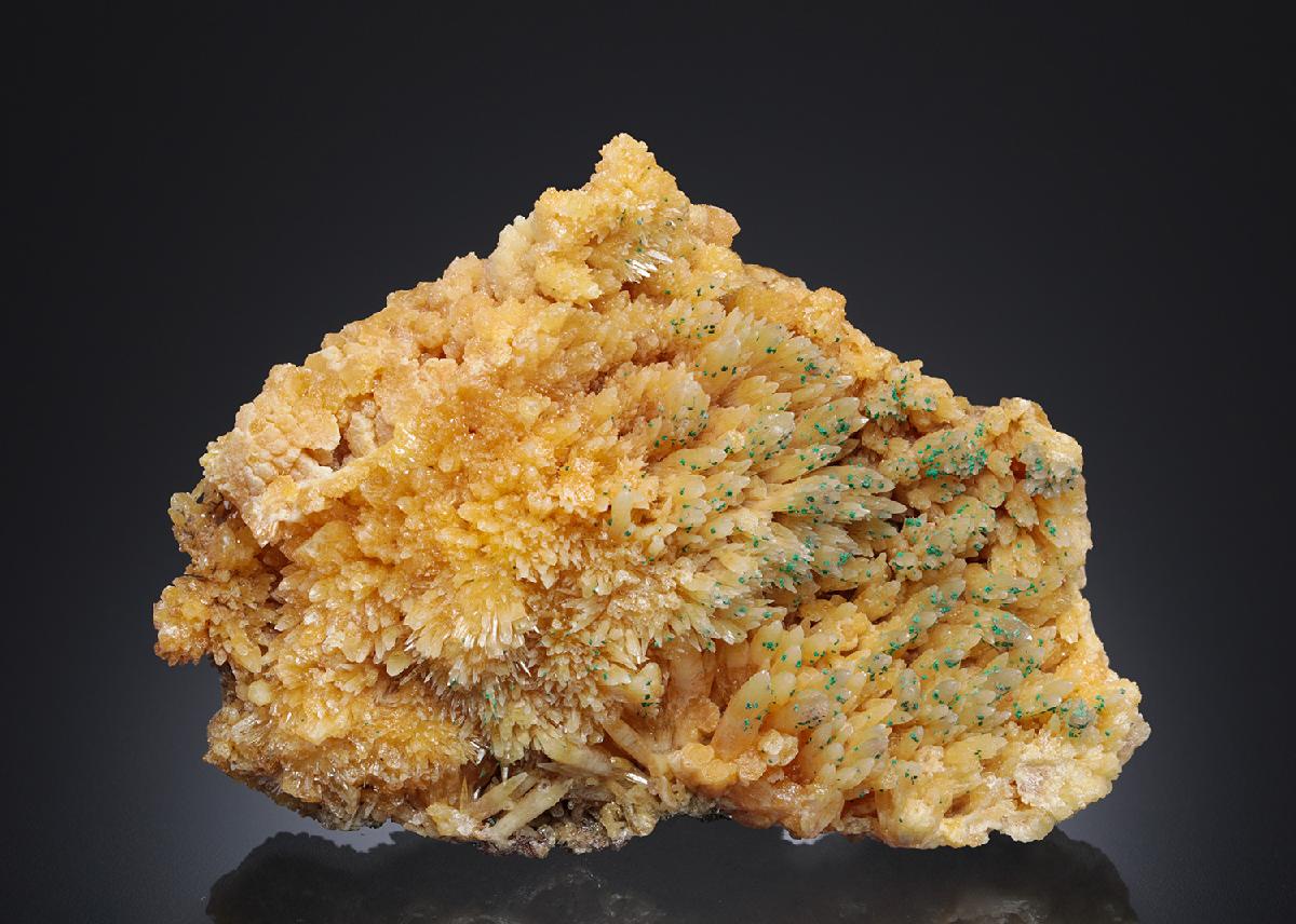 CC21987 specimen image