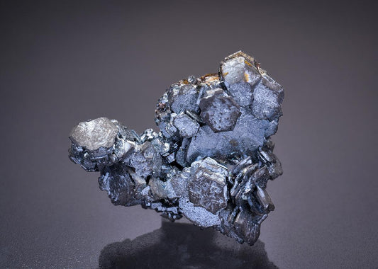 CC2219 specimen image