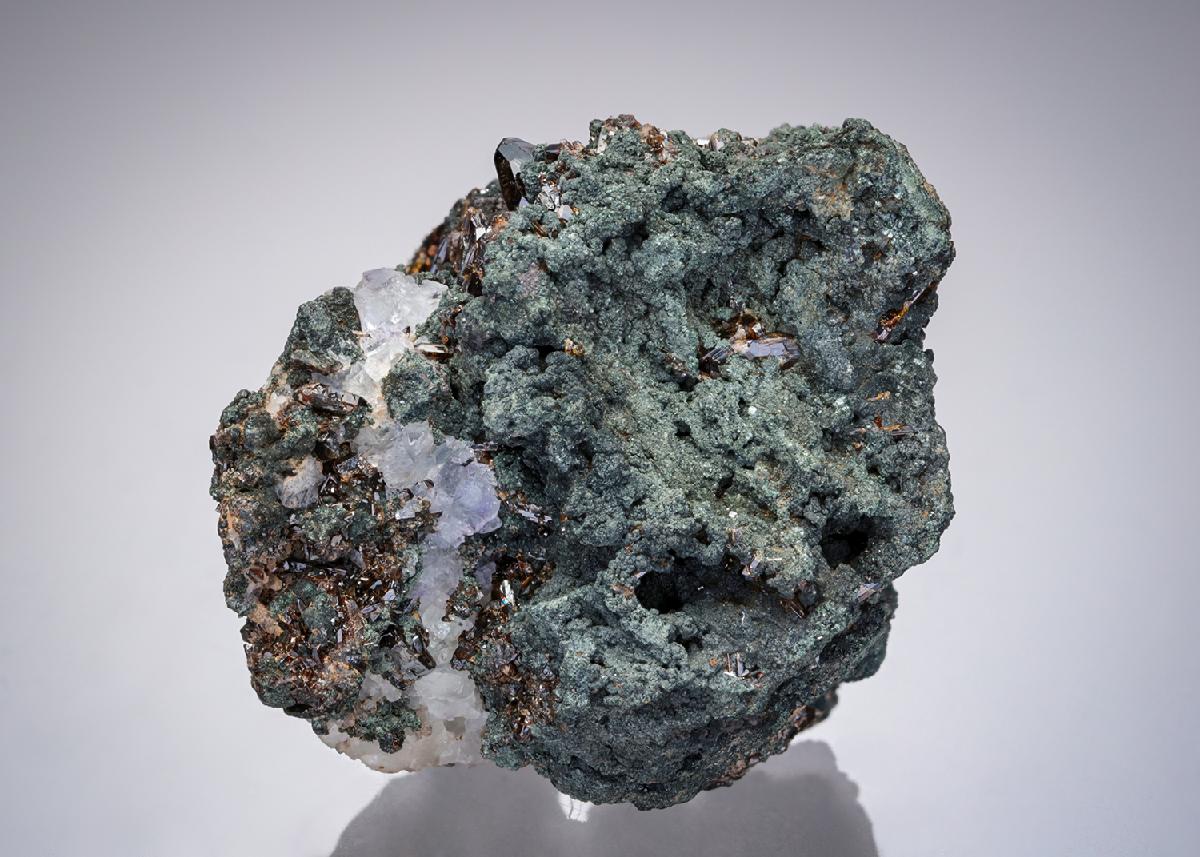 CC22206 specimen image