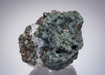 CC22206 specimen image