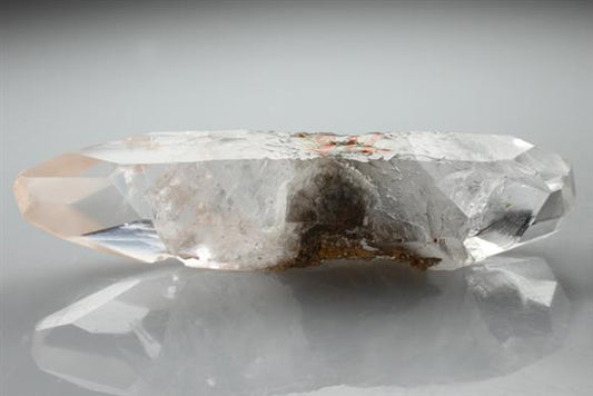 CC2222 specimen image