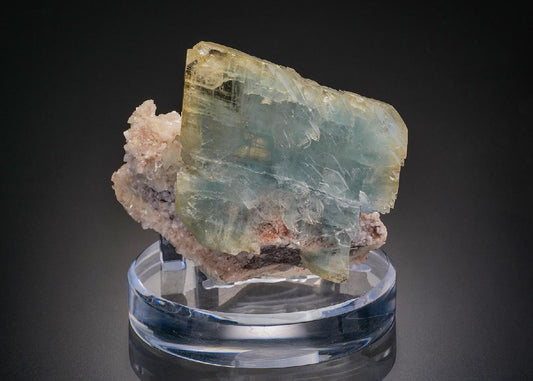 CC22298 specimen image