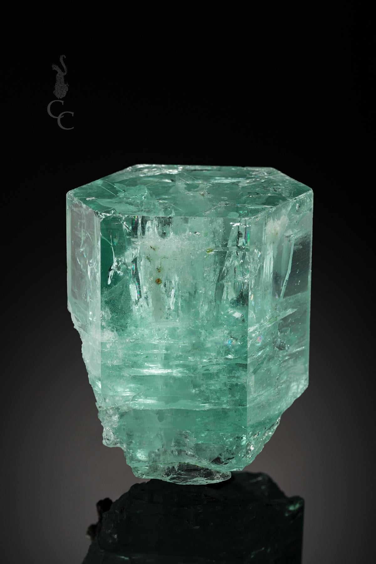 CC22306 specimen image