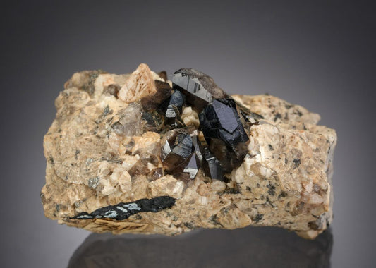 CC2238 specimen image