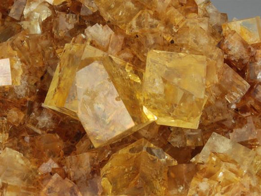 CC2239 specimen image