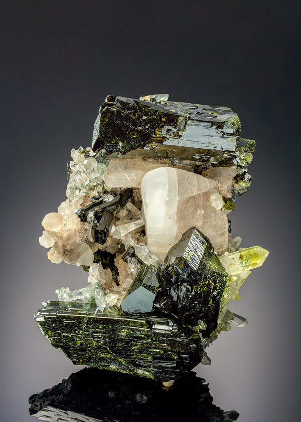 CC22499 specimen image