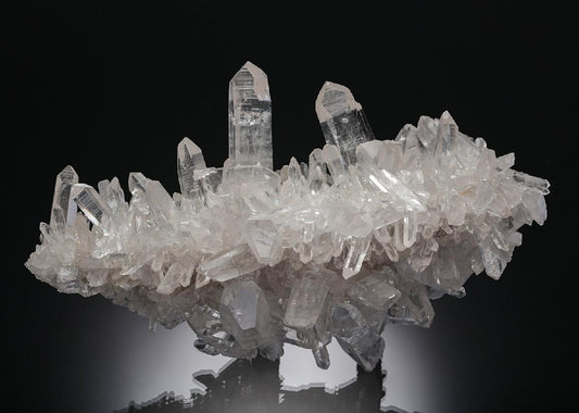 CC22505 specimen image