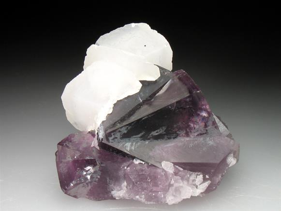 CC2252 specimen image