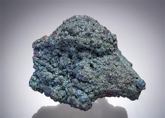 CC2255 specimen image